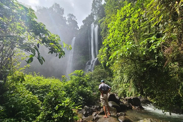 Eine Person steht auf Felsen und blickt auf den Sekumpul-Wasserfall, umgeben von üppigem Grün.