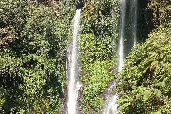 Nahaufnahme der hohen Kaskaden des Sekumpul-Wasserfalls im dichten Dschungel.